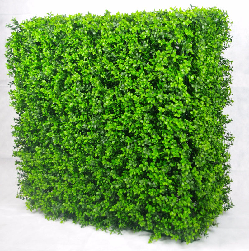 Portable Buxus Hedge UV Stabilised 75cm X 75cm