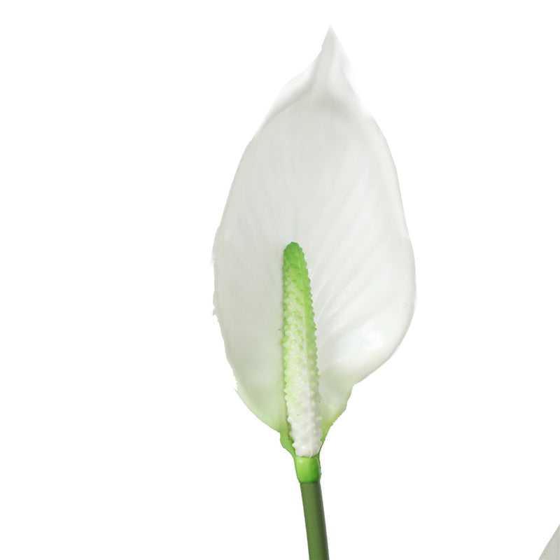 Artificial Flowering White Peace Lily / Calla Lily 95cm