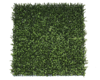 Premium Natural Buxus Hedge Panels UV Resistant 1m x 1m