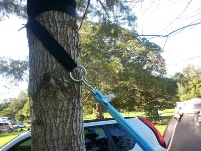 Pair of Tree Straps in Black