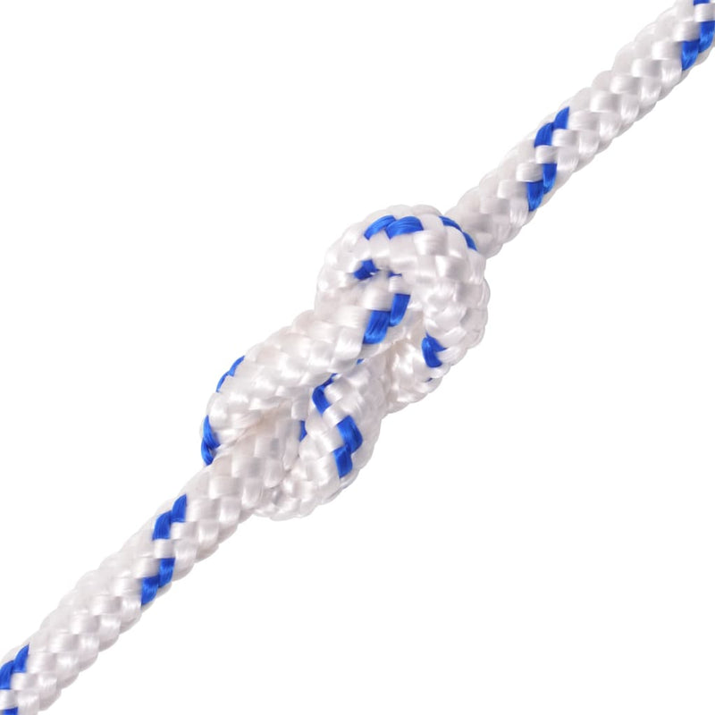 vidaXL Marine Rope Polypropylene 8 mm 100 m Blue