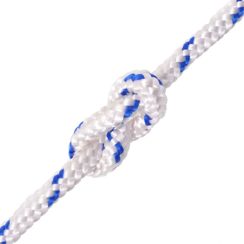 vidaXL Marine Rope Polypropylene 8 mm 100 m Blue
