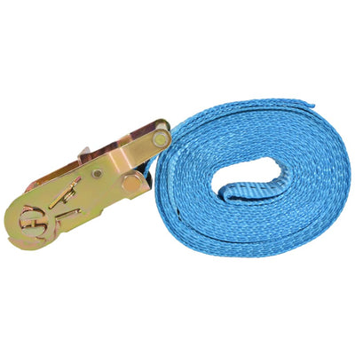 vidaXL Ratchet Tie Down Straps 10 pcs 2 Tonnes 6mx38mm Blue