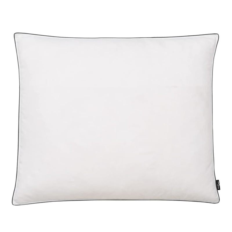 vidaXL Pillows 2 pcs Down/Feather Filling Heavy 80x80 cm White