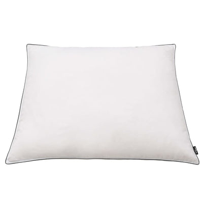 vidaXL Pillows 2 pcs Down/Feather Filling Heavy 80x80 cm White