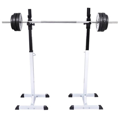 vidaXL Barbell Squat Rack with Barbell and Dumbbell Set 30.5 kg