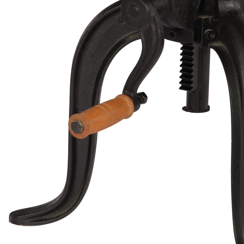 vidaXL Side Table 45x(45-62) cm Solid Mango Wood and Cast Iron