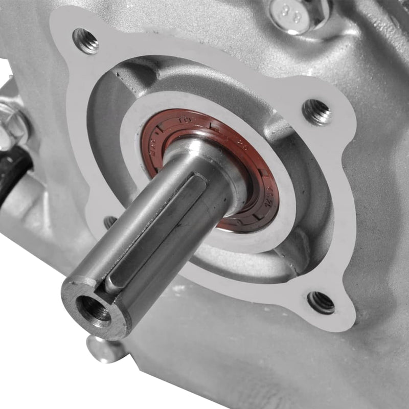 vidaXL 6.5 HP 4.8 kW Black Petrol Engine