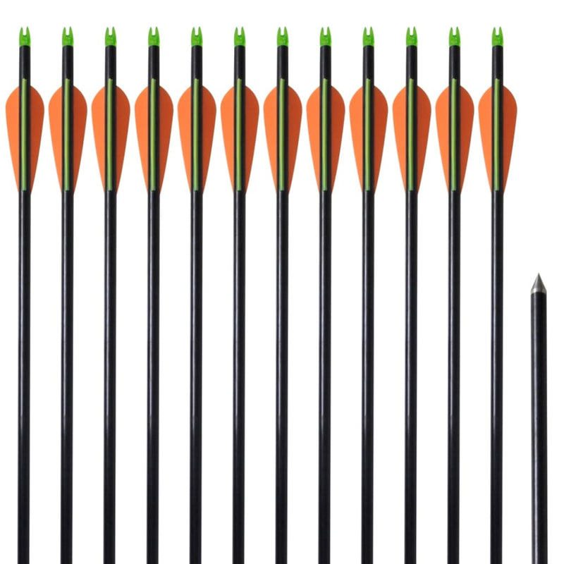 vidaXL Standard Compound Bow Arrows 30" 0.8 cm Fiberglass 12 pcs