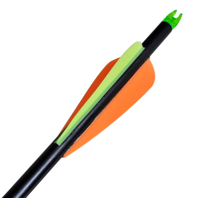 vidaXL Standard Compound Bow Arrows 30" 0.8 cm Fiberglass 12 pcs