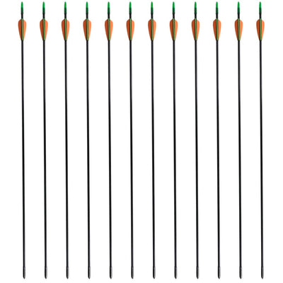 vidaXL Standard Recurve Bow Arrows 30" 0.6 cm Fiberglass 12 pcs