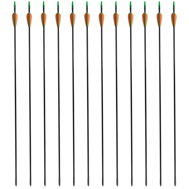 vidaXL Standard Recurve Bow Arrows 30" 0.6 cm Fiberglass 12 pcs