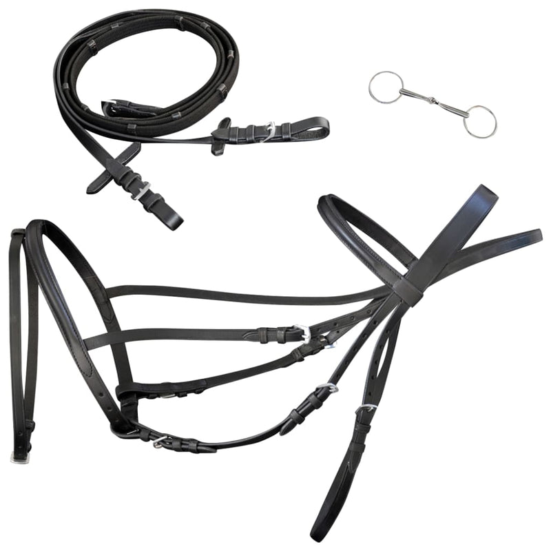 vidaXL Leather Flash Bridle with Reins and Bit Black Cob