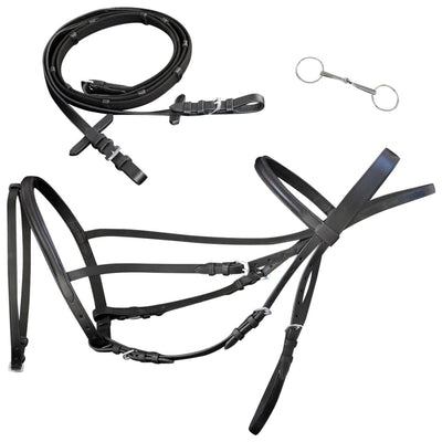 vidaXL Leather Flash Bridle with Reins and Bit Black Cob