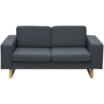 vidaXL 2-Seater Sofa Fabric Dark Grey