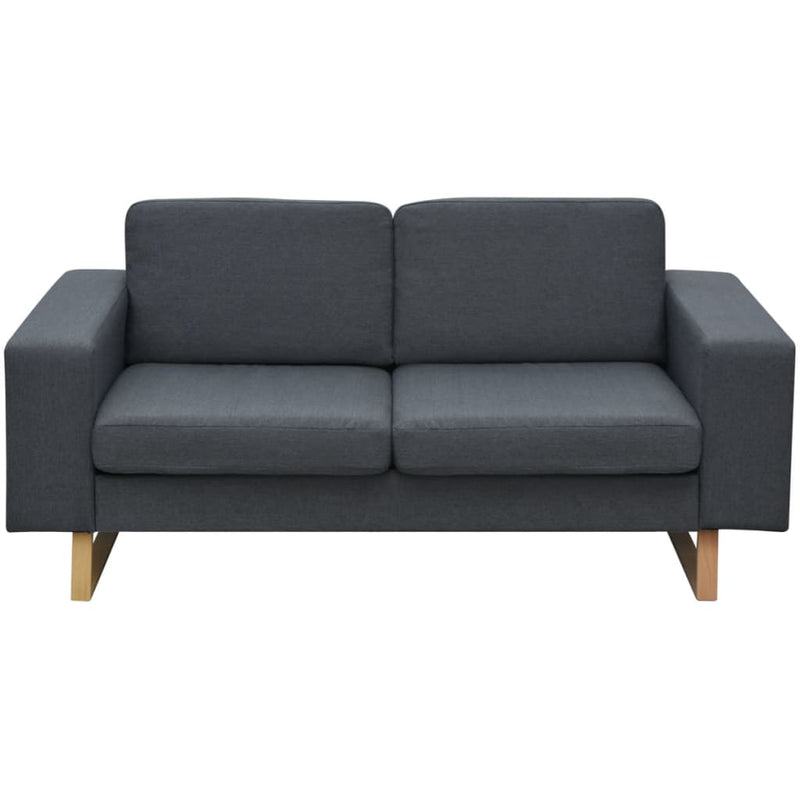 vidaXL 2-Seater Sofa Fabric Dark Grey