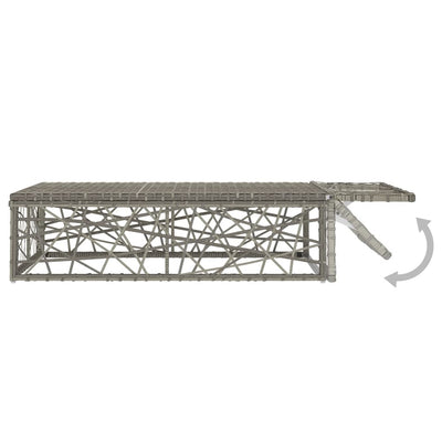 vidaXL 2 Piece Garden Lounge Set with Cushions Poly Rattan Grey