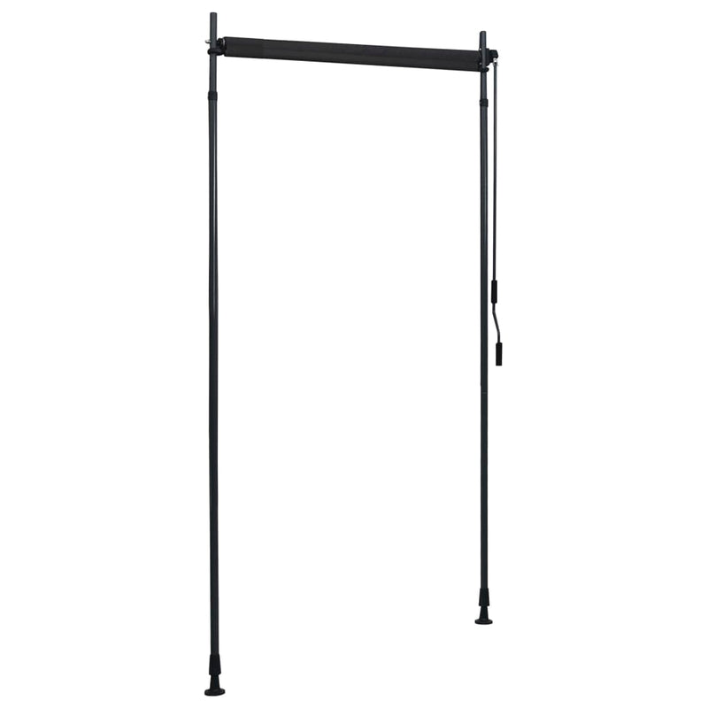 vidaXL Outdoor Roller Blind 100x270 cm Anthracite