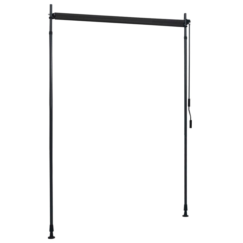 vidaXL Outdoor Roller Blind 120x270 cm Anthracite