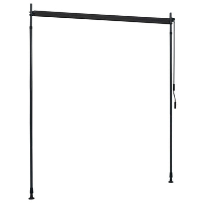 vidaXL Outdoor Roller Blind 120x270 cm Anthracite