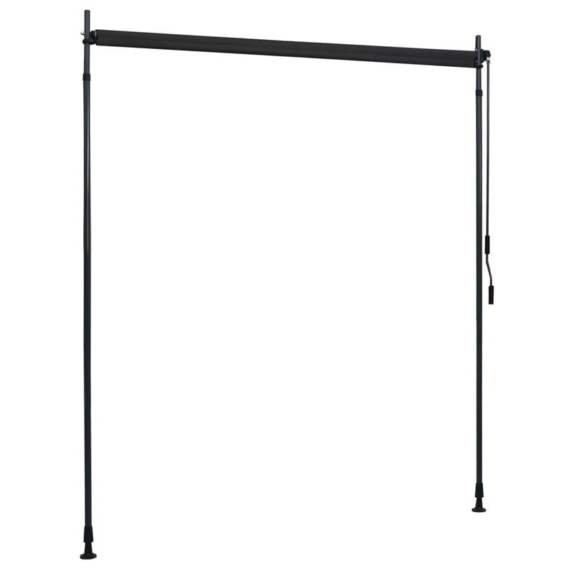 vidaXL Outdoor Roller Blind 120x270 cm Anthracite