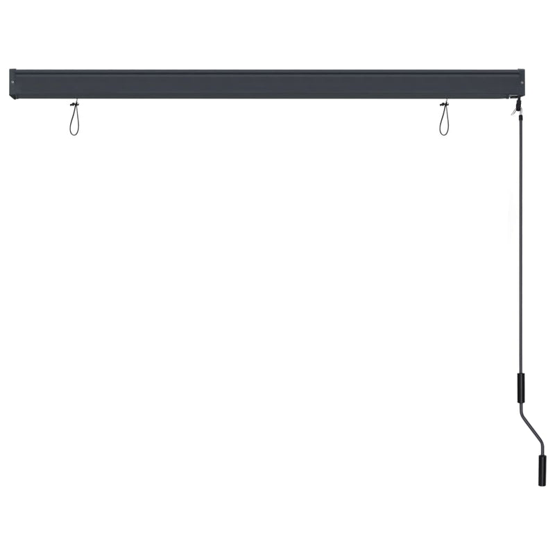 vidaXL Outdoor Roller Blind 170x250 cm Anthracite