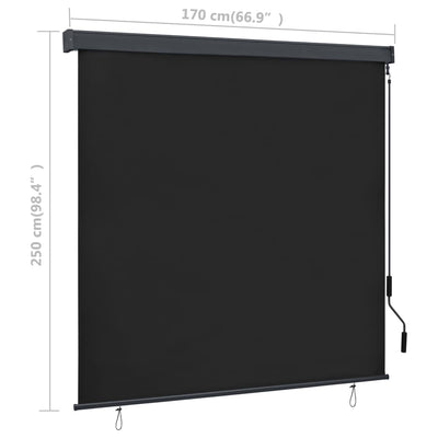 vidaXL Outdoor Roller Blind 170x250 cm Anthracite
