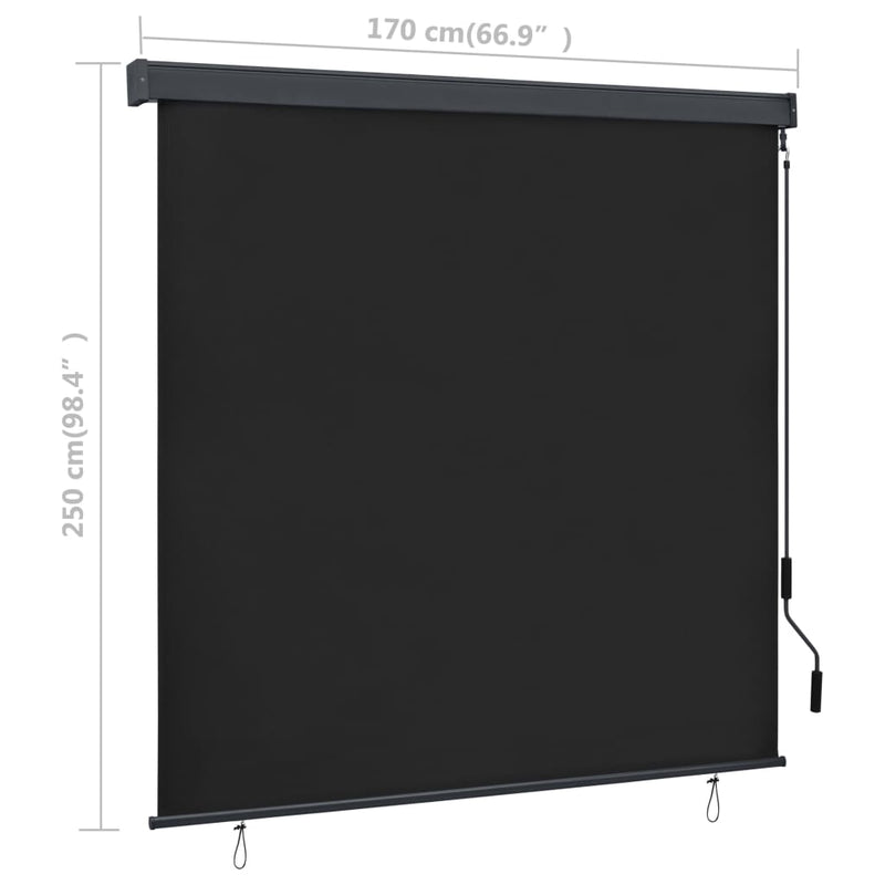 vidaXL Outdoor Roller Blind 170x250 cm Anthracite