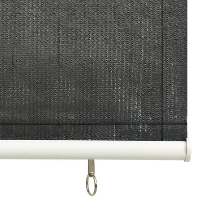 vidaXL Outdoor Roller Blind 60x230 cm Anthracite