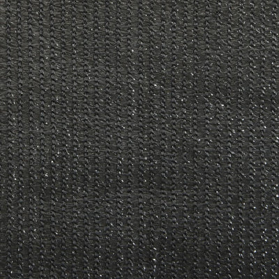 vidaXL Outdoor Roller Blind 60x230 cm Anthracite