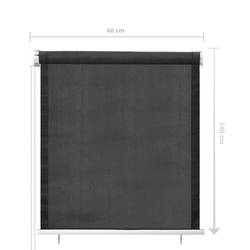 vidaXL Outdoor Roller Blind 60x230 cm Anthracite