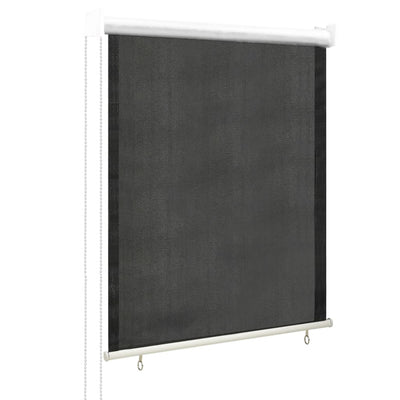 vidaXL Outdoor Roller Blind 60x230 cm Anthracite
