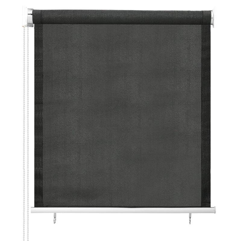 vidaXL Outdoor Roller Blind 60x230 cm Anthracite