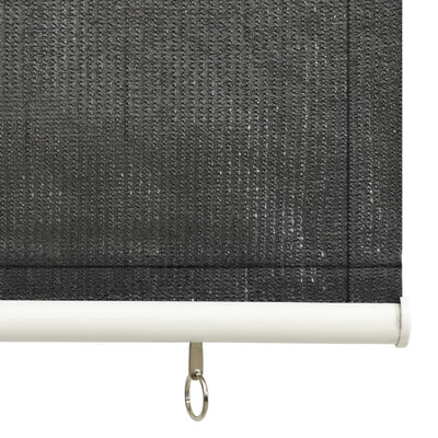 vidaXL Outdoor Roller Blind 60x230 cm Anthracite