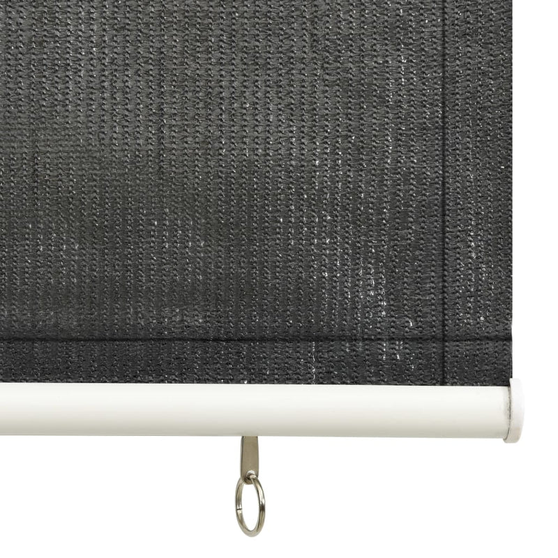 vidaXL Outdoor Roller Blind 60x230 cm Anthracite