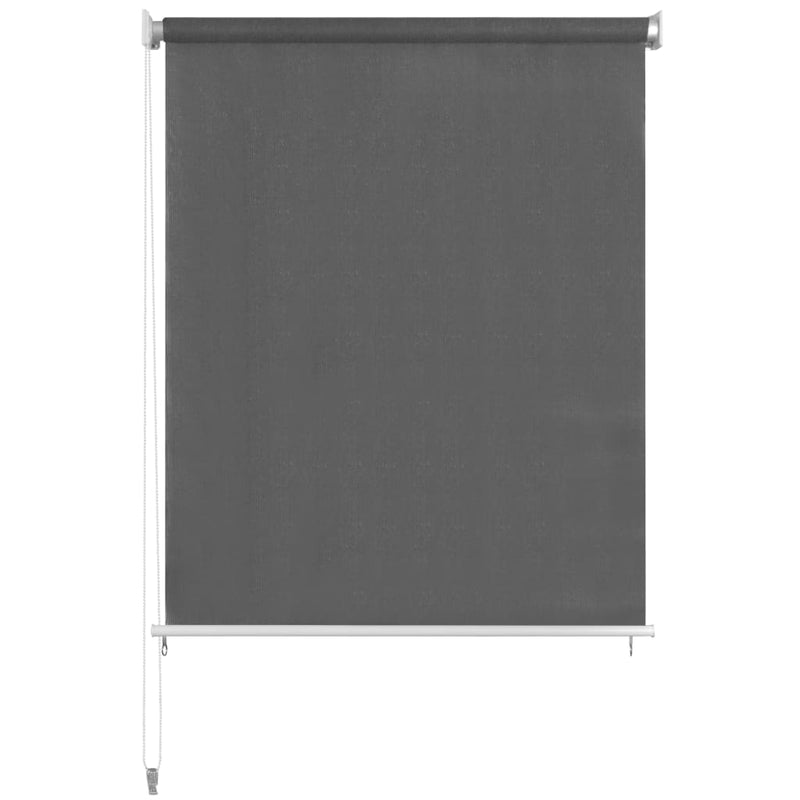 vidaXL Outdoor Roller Blind 60x230 cm Anthracite