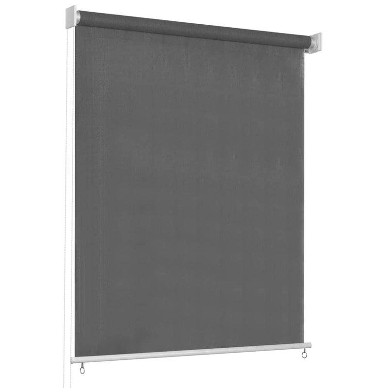 vidaXL Outdoor Roller Blind 60x230 cm Anthracite