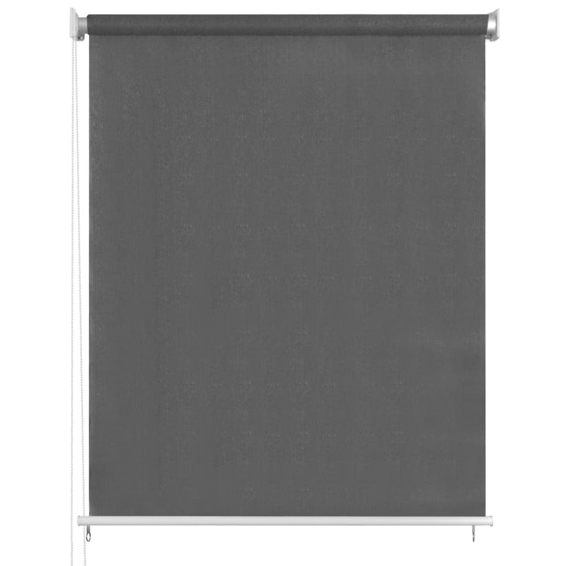 vidaXL Outdoor Roller Blind 60x230 cm Anthracite