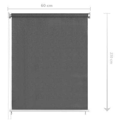 vidaXL Outdoor Roller Blind 60x230 cm Anthracite