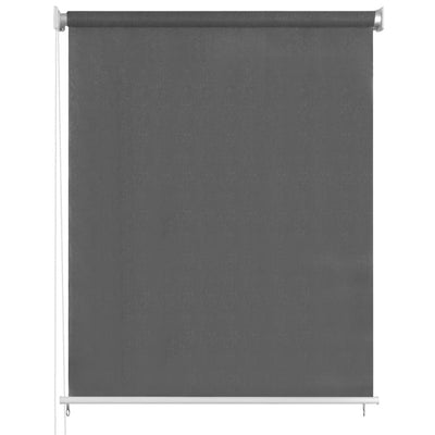 vidaXL Outdoor Roller Blind 60x230 cm Anthracite