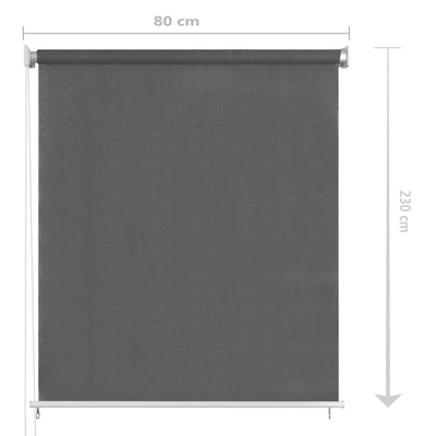 vidaXL Outdoor Roller Blind 60x230 cm Anthracite