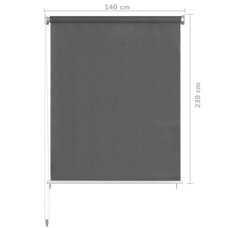 vidaXL Outdoor Roller Blind 60x230 cm Anthracite
