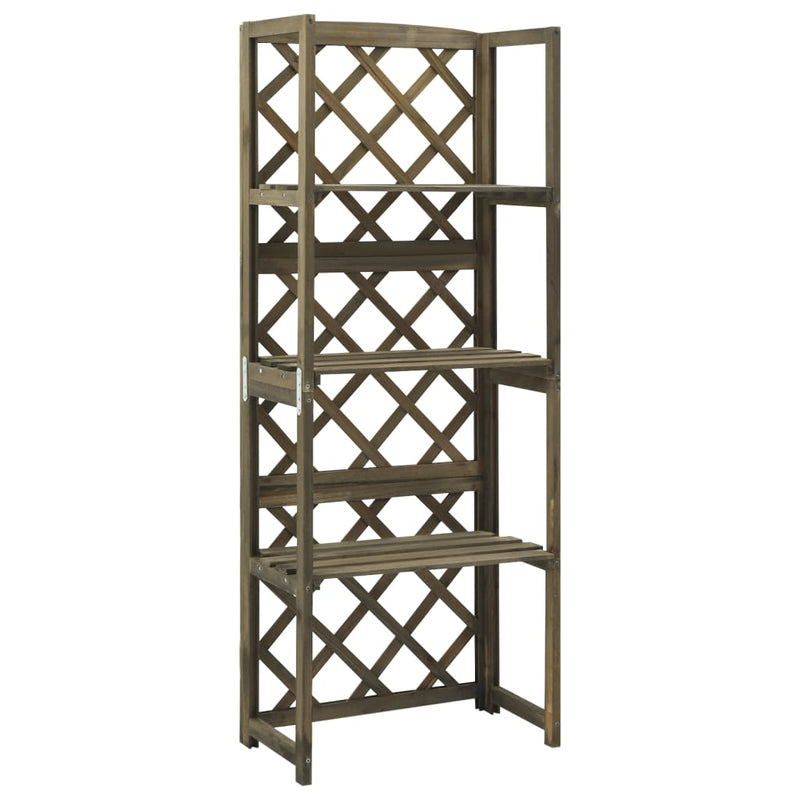 vidaXL Trellis with Shelves Grey 55x30x140 cm Solid Fir Wood