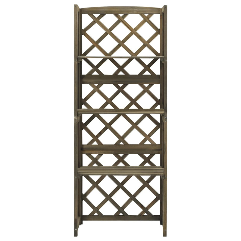 vidaXL Trellis with Shelves Grey 55x30x140 cm Solid Fir Wood