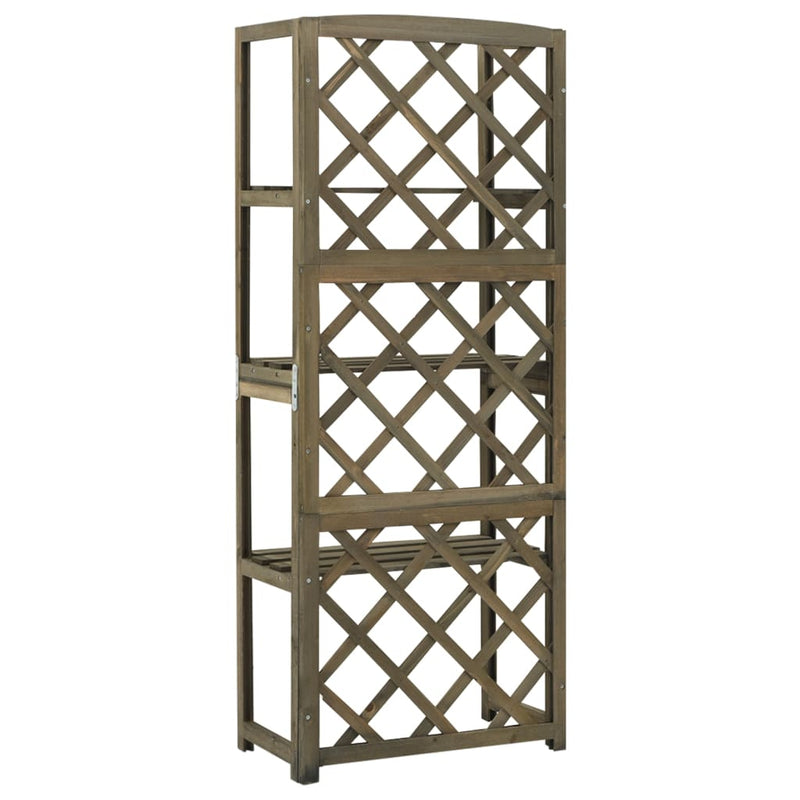 vidaXL Trellis with Shelves Grey 55x30x140 cm Solid Fir Wood