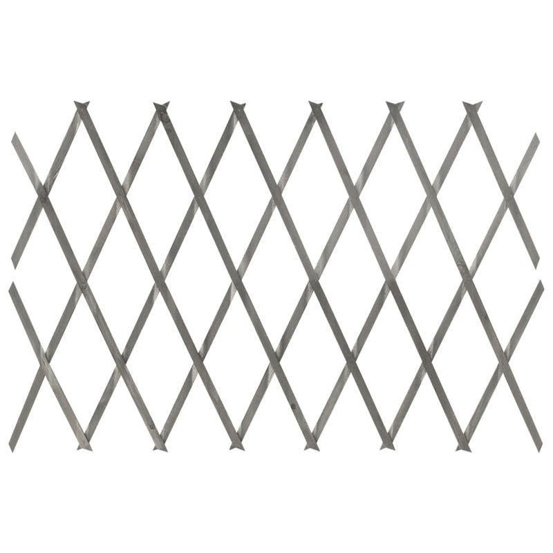 vidaXL Trellis Fences 5 pcs Solid Firwood 180x80 cm