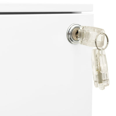 vidaXL Mobile File Cabinet Light Grey 39x45x67 cm Steel