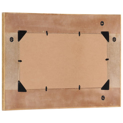 vidaXL Wall Mirror Solid Wood Reclaimed 50x80 cm