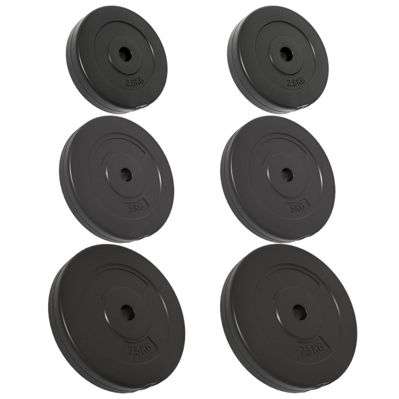 vidaXL Weight Plates 6 pcs 30 kg Cement