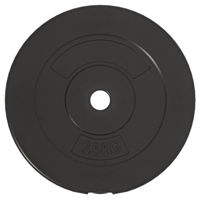 vidaXL Weight Plates 6 pcs 30 kg Cement